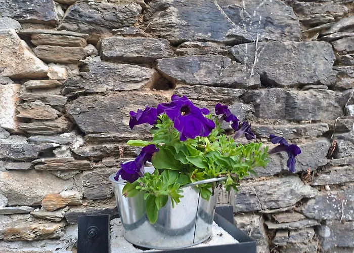 Apartamento Turistico Rural Casa Chain