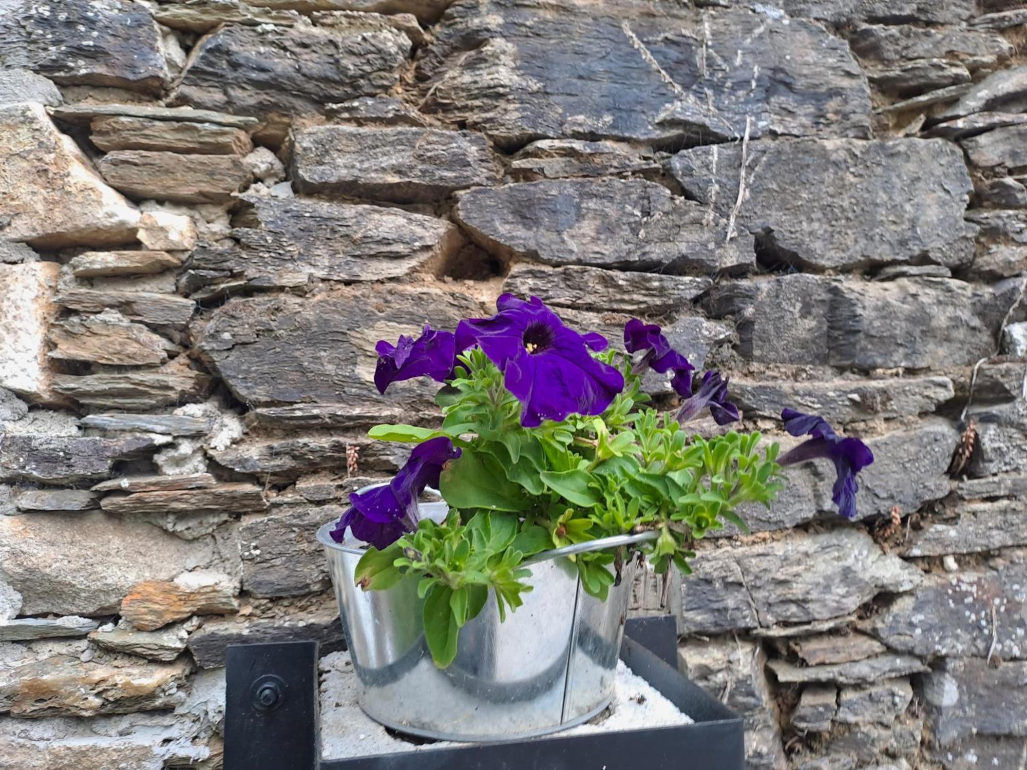 Apartment Turistico Rural Casa Chain Lugo
